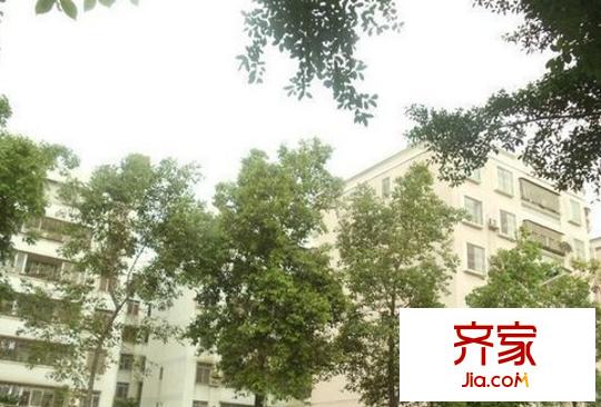 金沙C5小區(qū)外景圖
