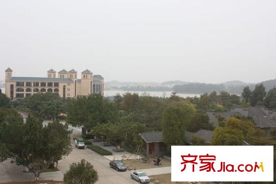 和豐穎苑項(xiàng)目對面公園