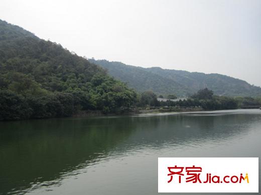 凰樵假日聽(tīng)音湖