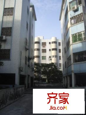 新華村