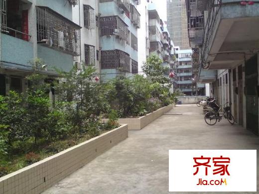新華村外景圖 