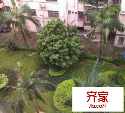 桂怡樓外景圖