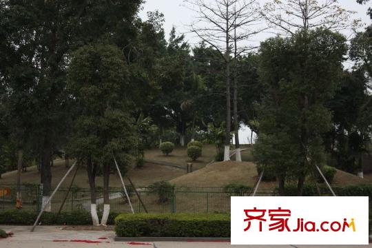 和豐穎苑項(xiàng)目對面公園