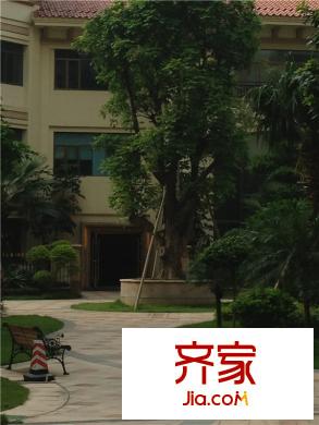 凰樵假日?qǐng)@林實(shí)景9.7