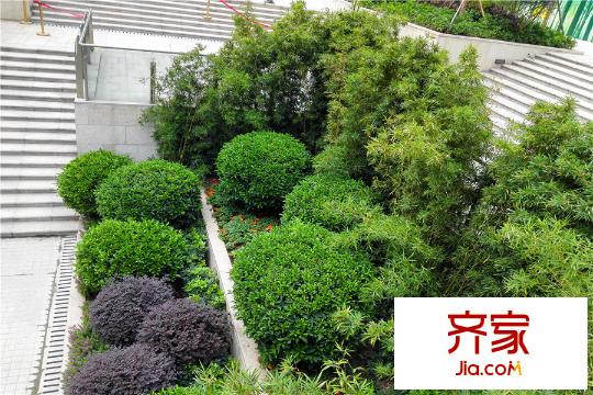 保利西雅圖小區(qū)園林實(shí)景（2015-10-30）