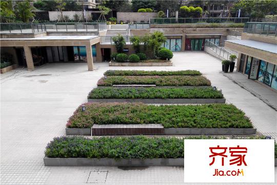 保利西雅圖小區(qū)園林實景（2015-10-30）