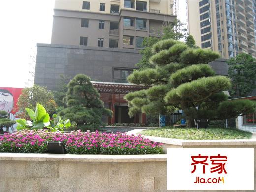 東海銀灣小區(qū)實景2013-10-30