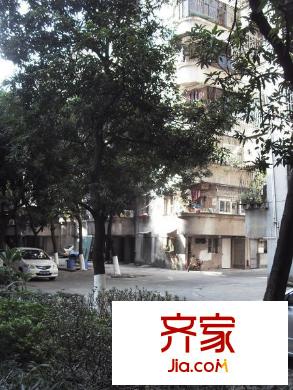 大良佳景樓外景圖