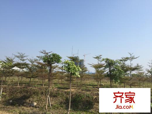 頤和盛世小區(qū)外景（2015.1.17）