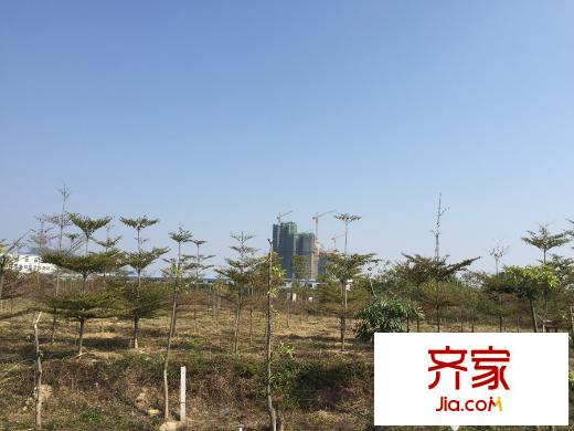 頤和盛世小區(qū)外景（2015.1.17）