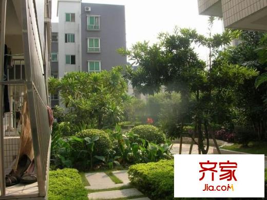 置德豪庭外景圖 
