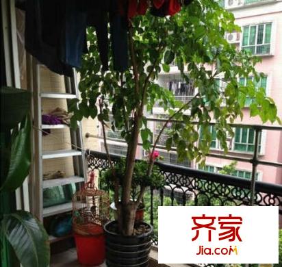 晉怡閣外景圖