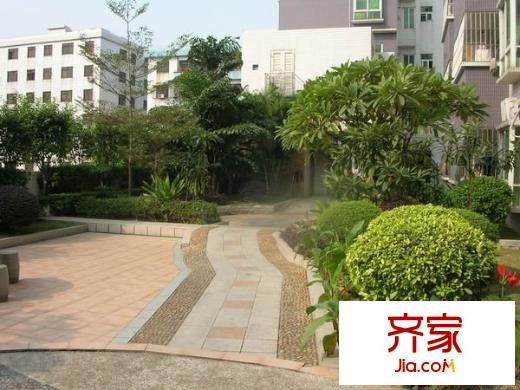 置德豪庭外景圖 