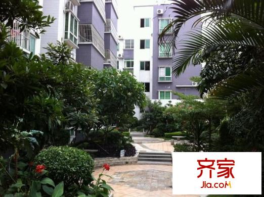 置德豪庭外景圖 
