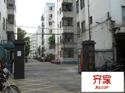 成功花園