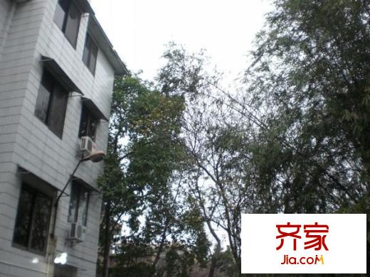 鹽步三河商業(yè)中心外景圖 