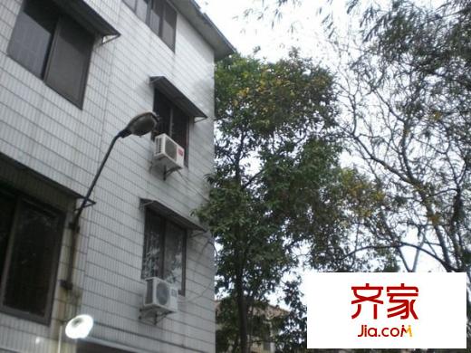 鹽步三河商業(yè)中心外景圖 