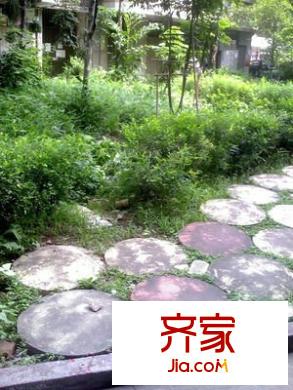 白燕二街小區(qū)外景圖 