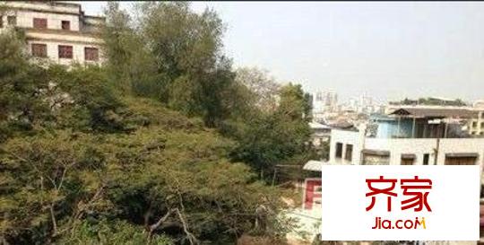 百富樓外景圖