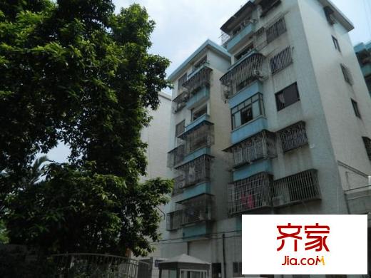 新力樓外景圖 