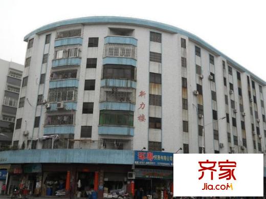 新力樓外景圖 