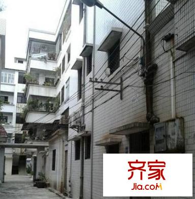 文地巷