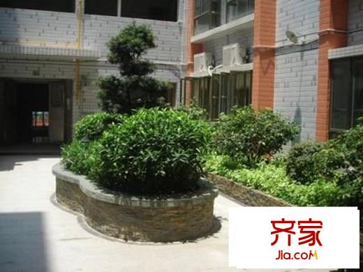 喜來居外景圖 