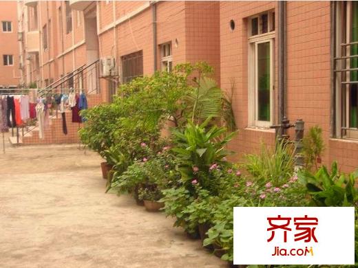 新力樓外景圖