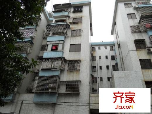 新力樓外景圖 