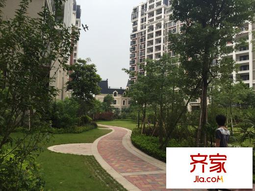 尚觀嘉園小區(qū)園林（2015-8-29）