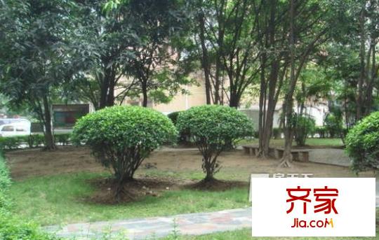 迪昌樓外景圖