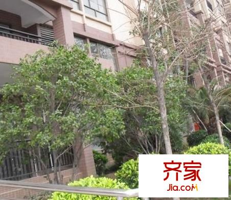 樵暉名苑外景圖 