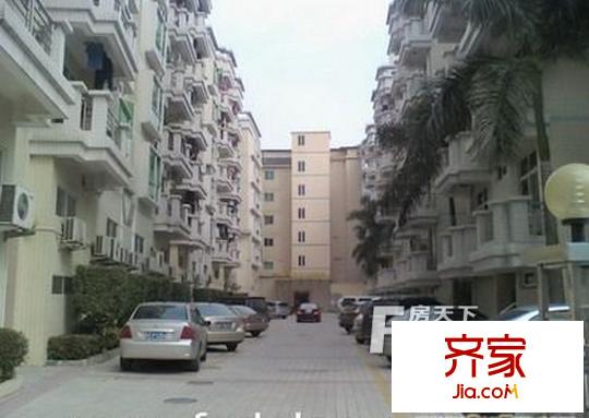 陳村新君悅公寓外景圖