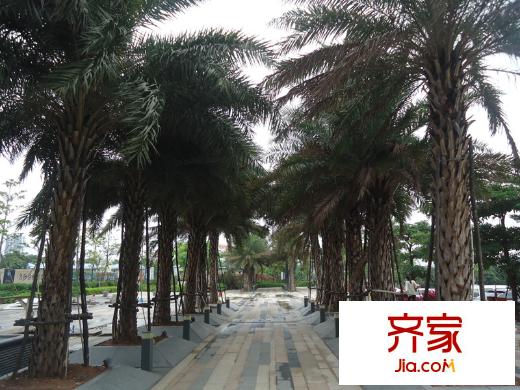 翠堤明珠銷售中心外景