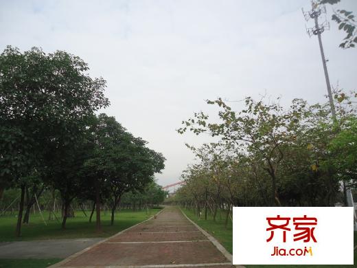 翠堤明珠周邊配套 佛山公園