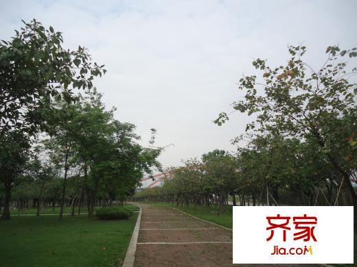 翠堤明珠周邊配套 佛山公園
