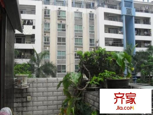 容奇麗翠苑外景圖麗翠苑（容奇） 