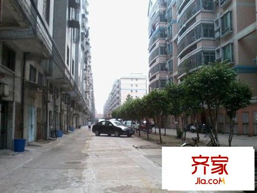 海三路小區(qū)外景圖 