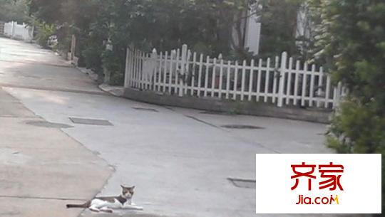 美圖別苑外景圖