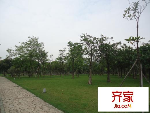 翠堤明珠周邊配套 佛山公園