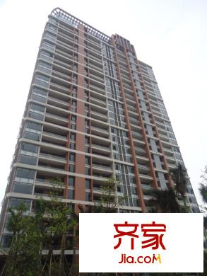 翠堤明珠仰拍 2013-4-23