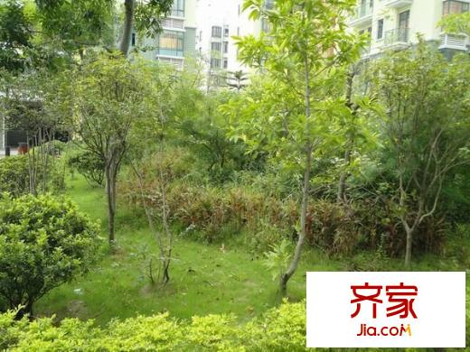 金沙城區(qū)小區(qū)外景圖 