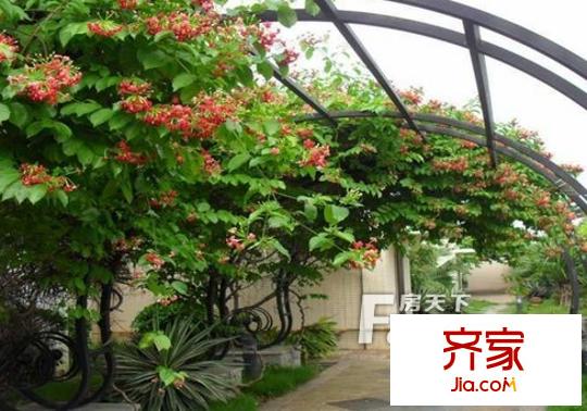 樂德居外景圖