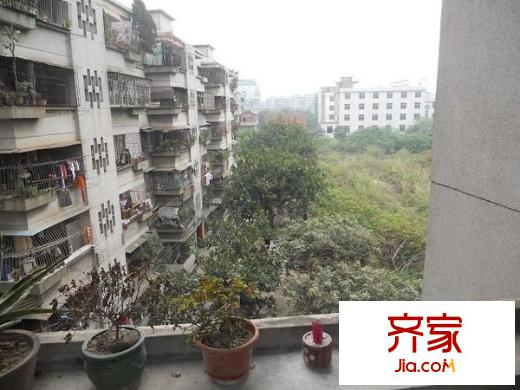 民富路小區(qū)外景圖 