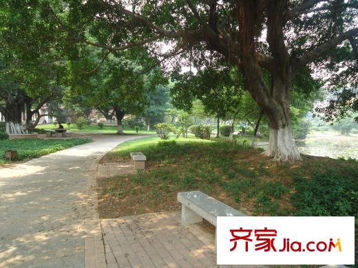 港隆國(guó)際周邊配套 公園