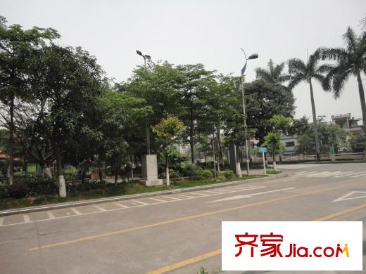 港隆國(guó)際周邊配套 公園