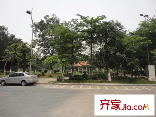 港隆國(guó)際周邊配套 公園