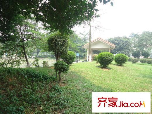 港隆國(guó)際周邊配套 公園