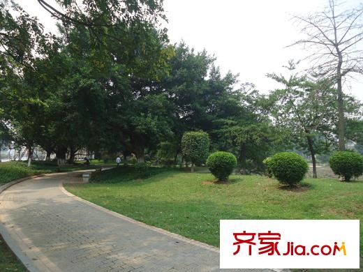 港隆國(guó)際周邊配套 公園