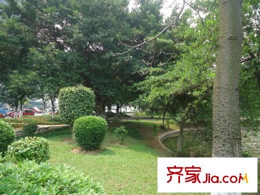 港隆國(guó)際周邊配套 公園